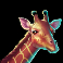 savannah legend slot giraffe symbol