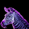 savannah legend slot zebra symbol