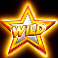 10000 x gold slot wild symbol