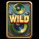 24k gold shamrock on slot wild symbol