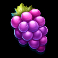 blitz super wheel slot grapes symbol