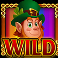 coins and clover cash eruption slot wild symbol