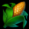 donkey dollars slot corn symbol