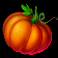 donkey dollars slot pumpkin symbol