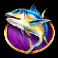 hooked on a winner slot purple fish symbol