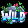 hooked on a winner slot wild symbol