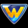in the zone wild symbol