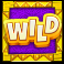 pinata go go slot wild symbol