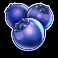 power vault slot blueberries symbol