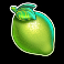 power vault slot lime symbol