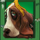 purrrminator slot basset hound symbol