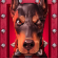 purrrminator slot doberman symbol