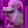purrrminator slot poodle symbol