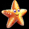 raging waterfall megaways slot starfish symbol