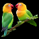 serengeti sunset slot birds symbol