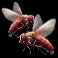 serengeti sunset slot blowflies symbol
