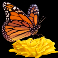 serengeti sunset slot butterfly symbol
