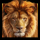 serengeti sunset slot lion symbol