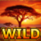 serengeti sunset slot wild symbol