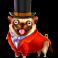the dog house royal hunt slot bulldog symbol