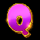the dog house royal hunt slot q symbol