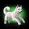 volcano goddess slot dog symbol