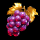 wild wild joker slot grapes symbol