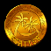 1001 mystery genie fortunes slot scatter symbol