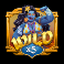 1001 mystery genie fortunes slot wild symbol
