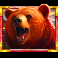5 wild buffalo 2 slot bear symbol