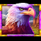 5 wild buffalo 2 slot eagle symbol