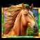 5 wild buffalo 2 slot horse symbol