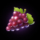 chicks in vegas slot grapes symbol