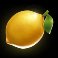 chicks in vegas slot lemon symbol