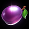 chicks in vegas slot plum symbol