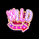 chicks in vegas slot wild symbol