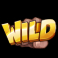 fighter pit slot wild symbol