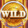 gods of troy megaways slot wild symbol