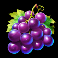 hold the joker slot grapes symbol