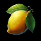 hold the joker slot lemon symbol