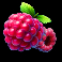 hold the joker slot raspberries symbol