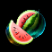 hold the joker slot watermelon symbol