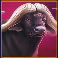 majestic megaways buffalo symbol