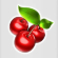 the ruby megaways slot cherries symbol