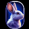 tiger doublemax slot rabbit symbol