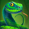 tiger shrine slot snake symbol