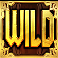 vikings go to olympus wild symbol