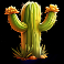 wild canyon slot cactus symbol