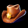 wild canyon slot hat symbol