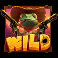 wild canyon slot wild symbol